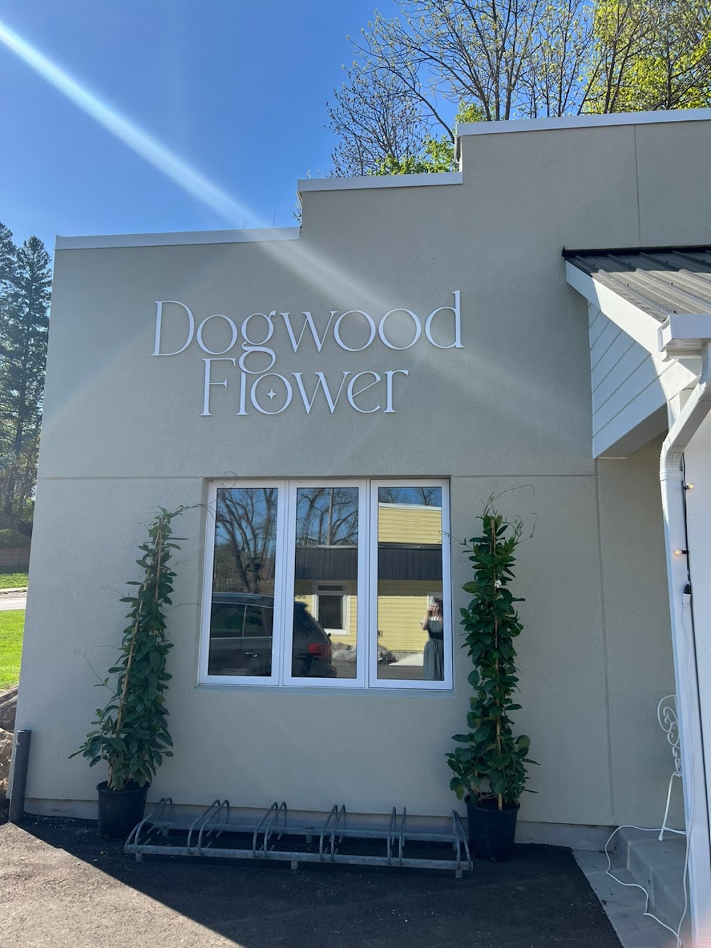 Dogwood Flower | 174 Marsh St Unit#1, Clarksburg, ON N0H 1J0, Canada | Phone: (519) 379-7623