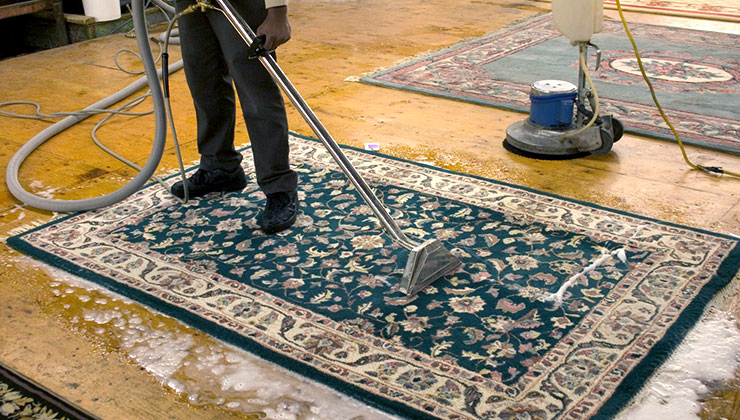 A1 Expert Carpet Cleaning Surrey | 15655 107 Ave, Surrey, BC V4N 3H8, Canada | Phone: (604) 442-6405