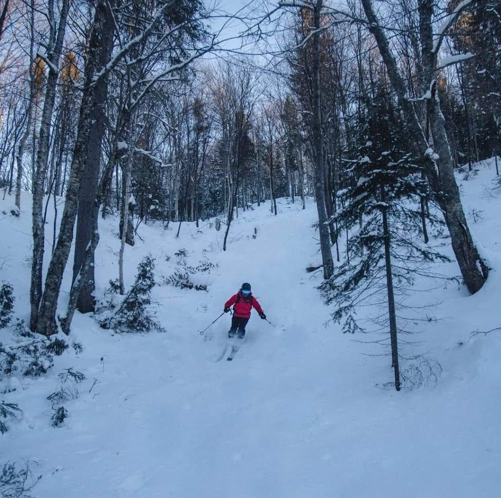 Ski Saguenay | 273 Chem. Périgny, LAnse-Saint-Jean, QC G0V 1J0, Canada | Phone: (581) 234-7028