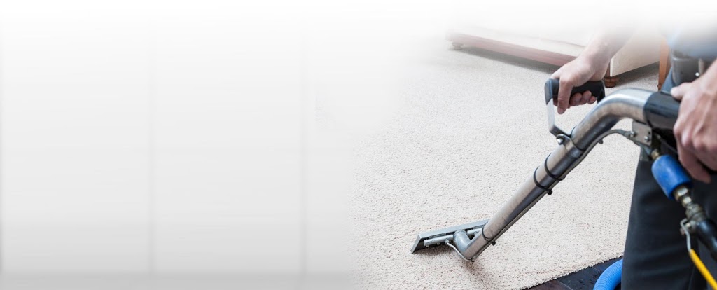 Exclusive Carpet and Upholstery Cleaning | 20 Regal Pine Ct, Maple, ON L6A 2M5, Canada | Phone: (416) 910-0590