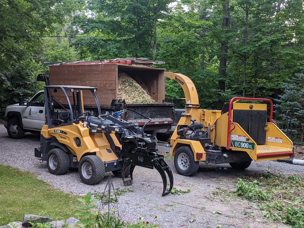 Independent Tree Care | 101 Brae Cres, Stittsville, ON K2S 1P1, Canada | Phone: (613) 720-0274