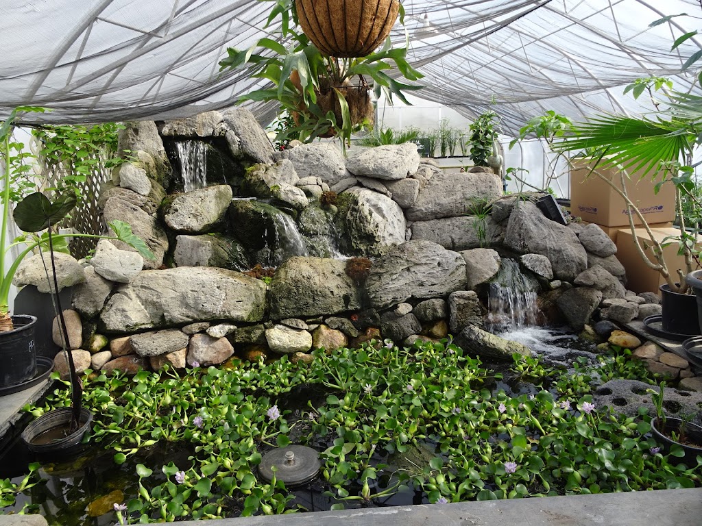 Aqualine Aquatic Plants & Waterfeatures | 23211 Township Rd 514, Sherwood Park, AB T8B 1L1, Canada | Phone: (780) 467-3450