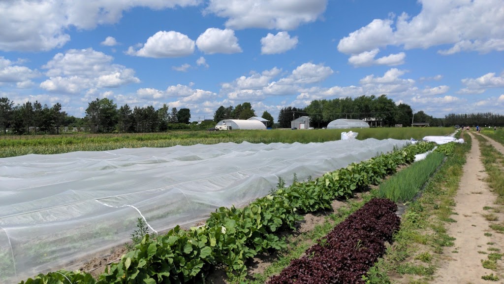 Les jardins de Mascouche | 1412 Chem. de la Côte Georges, Mascouche, QC J7K 3C2, Canada | Phone: (438) 880-9575