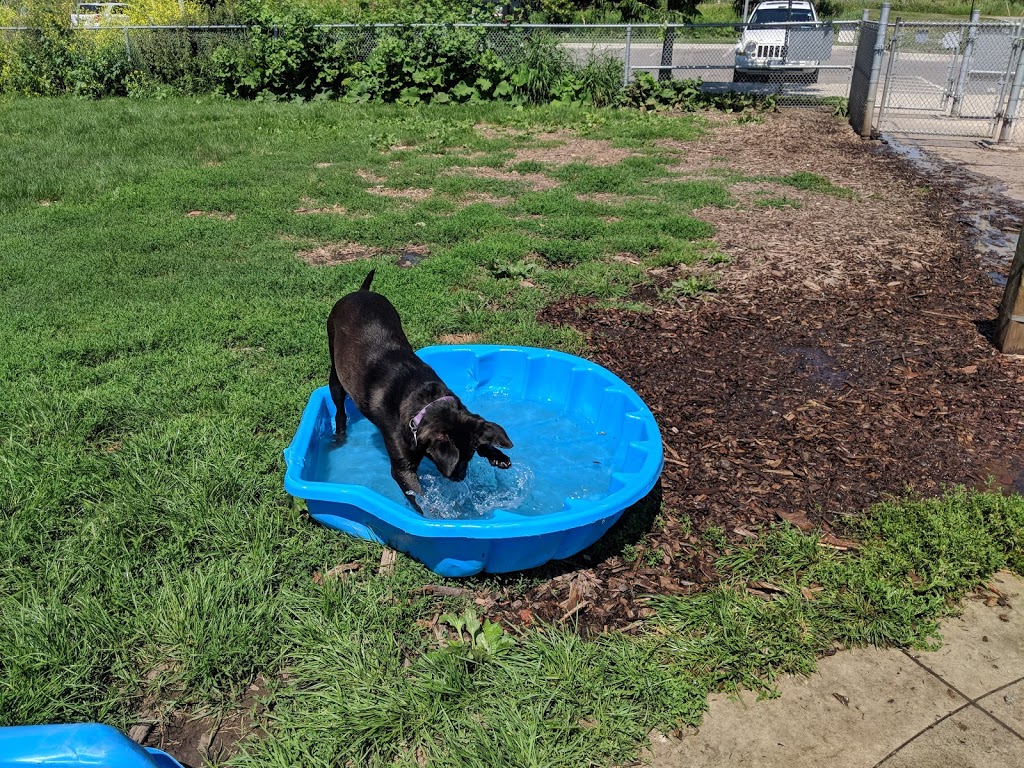 Lakeside Dog Park | Mississauga, ON L6L 1G8, Canada