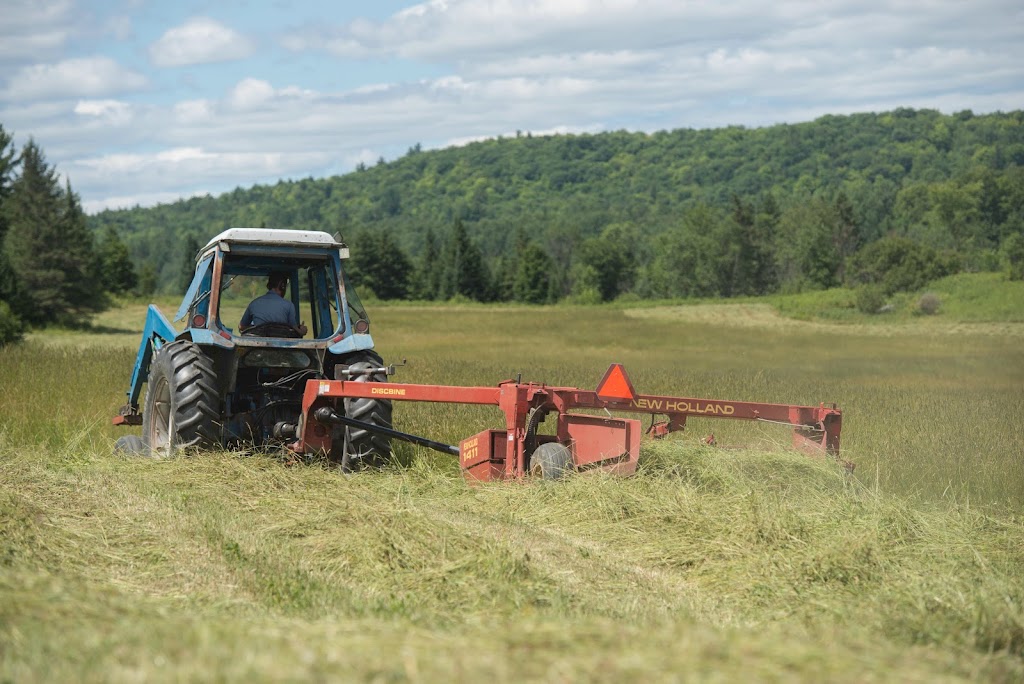 Ferme Le Bel | 201 Chem. Irwin, Alcove, QC J0X 1A0, Canada | Phone: (873) 353-2259