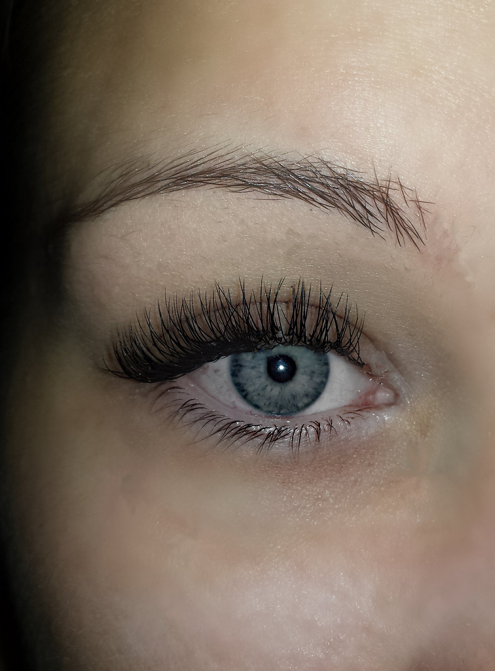 Whiplash Eyelash Extensions | 32783 14 Ave, Mission, BC V2V 2N8, Canada | Phone: (778) 240-3555