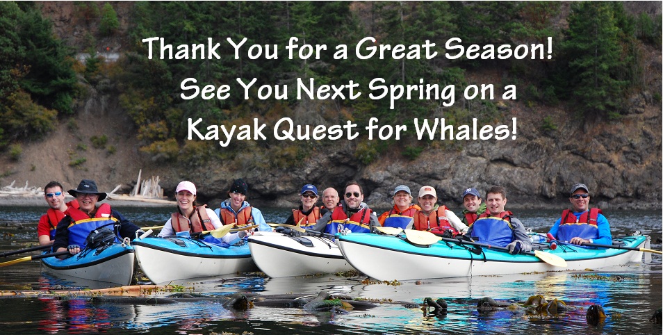 Sea Quest Kayak Tours | 2 Front St, Friday Harbor, WA 98250, USA | Phone: (360) 378-5767