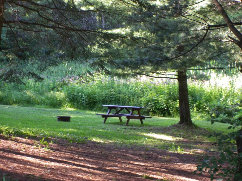 Camping Cantley | 100 Chemin Sainte - Élisabeth, Cantley, QC J8V 3G4, Canada | Phone: (819) 827-1056