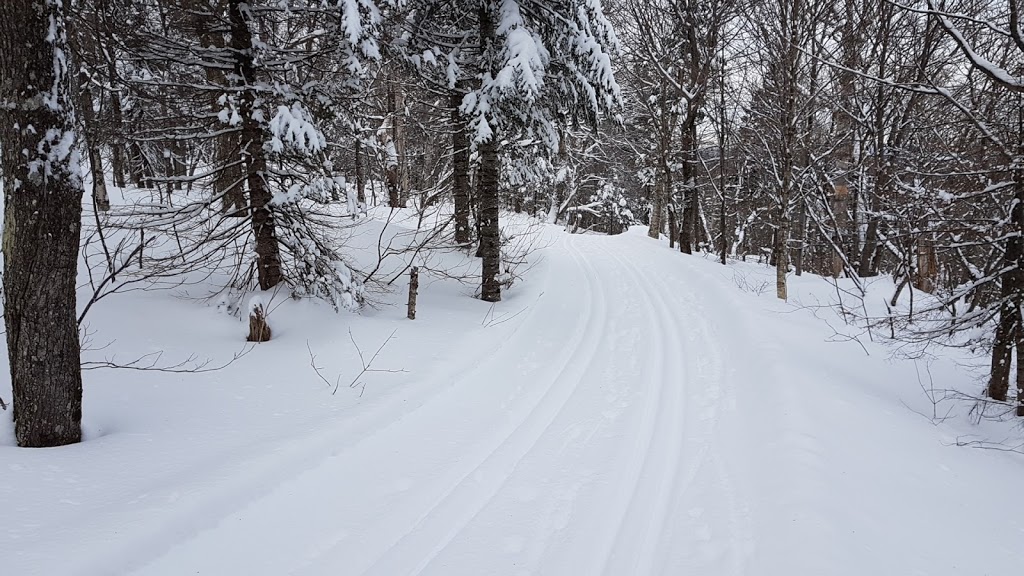 Mount Bélair | Val-Belair, QC G3K 0A8, Canada | Phone: (418) 641-6311