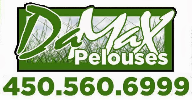 DaMax Pelouses | 4 193e Av, Saint-Hippolyte, QC J8A 1W2, Canada | Phone: (450) 560-6999