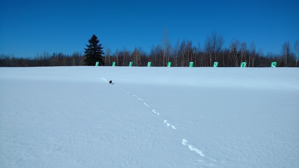 Club de golf LAlbatros Ste Foy | 1418 Route de lAéroport, Québec, QC G2G 1G6, Canada | Phone: (418) 871-1818