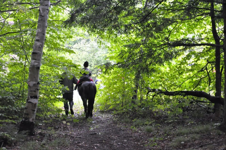 Foymount Farm Accommodations and Equine Retreat | 3837 Foymount Rd, Cormac, ON K0J 1M0, Canada | Phone: (613) 754-2586