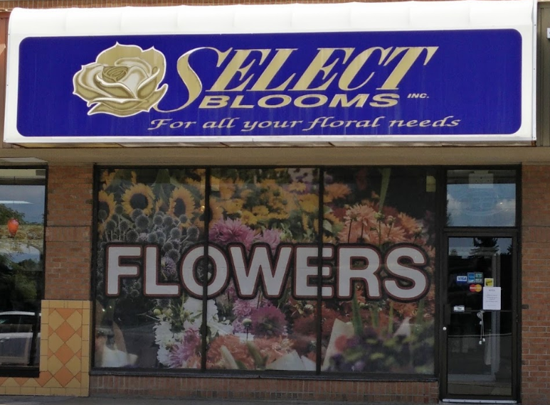 Select Blooms | 1675 Tenth Line Rd, Orléans, ON K1E 3P6, Canada | Phone: (613) 837-9966