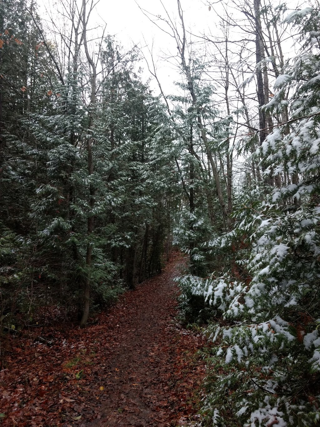 Kolapore Uplands Parking Lot | Grey Road 2, The Blue Mountains, ON N0H 2E0, Canada