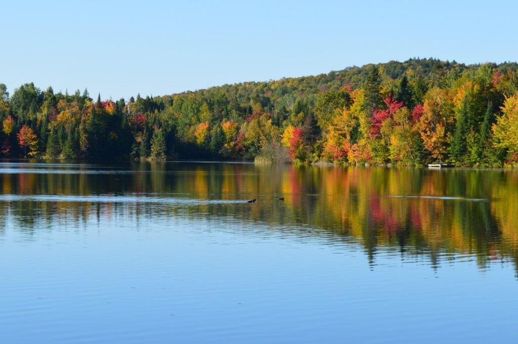 Lac aux Sources Inc. | 4561 Chem. Saint-Alphonse, Rawdon, QC J0K 1S0, Canada | Phone: (450) 834-2988