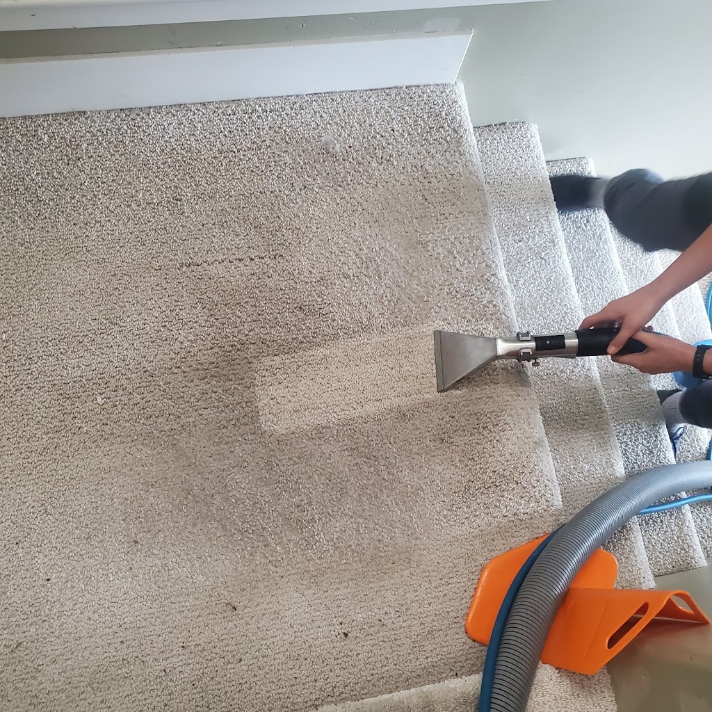 Absolute Carpet Care | 1351 15 Ave SE, Salmon Arm, BC V1E 2G5, Canada | Phone: (250) 351-7888