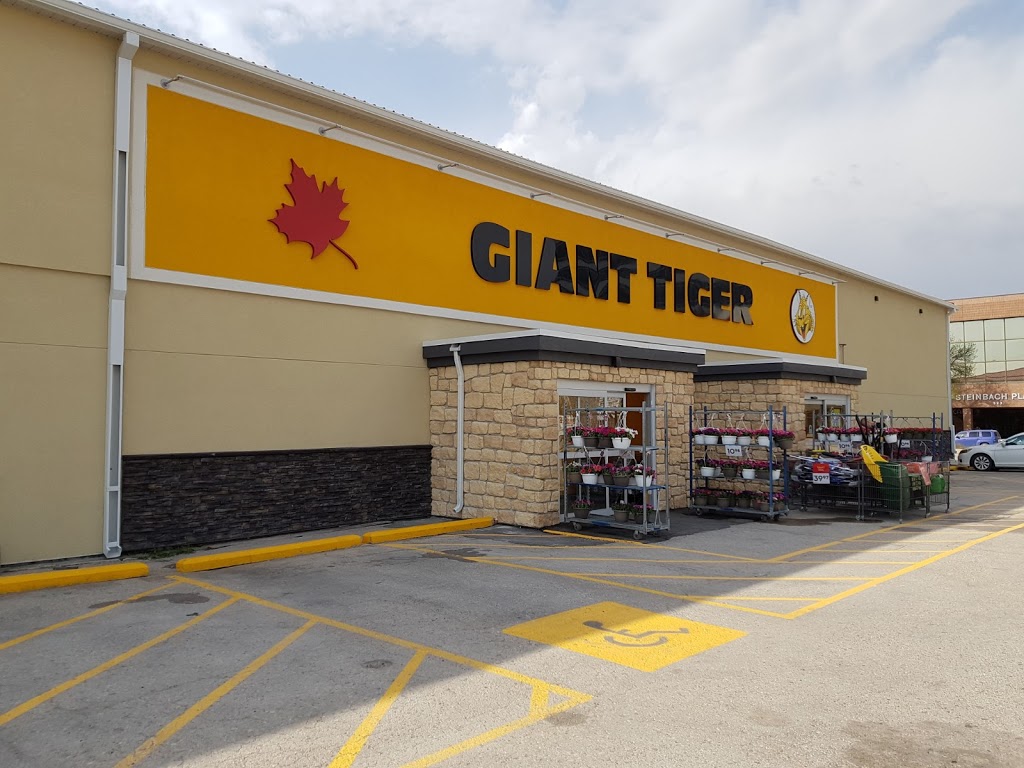 Giant Tiger | 940 Jefferson Ave, Winnipeg, MB R2P 1W1, Canada | Phone: (204) 697-3344