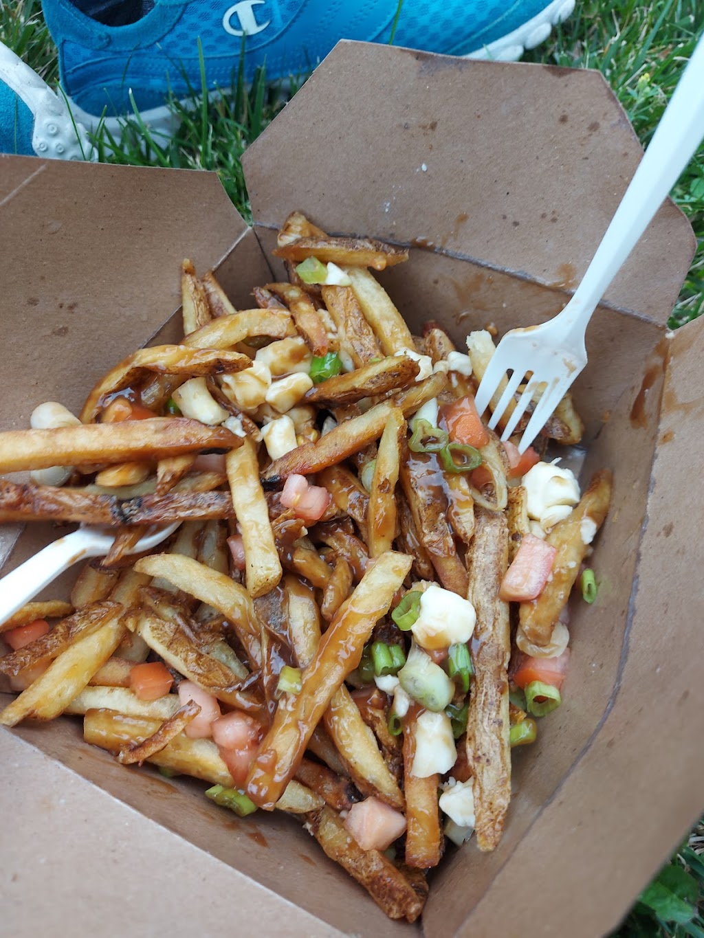 New York Fries | 1800 Sheppard Ave E, Willowdale, ON M2J 5A7, Canada | Phone: (416) 498-0265