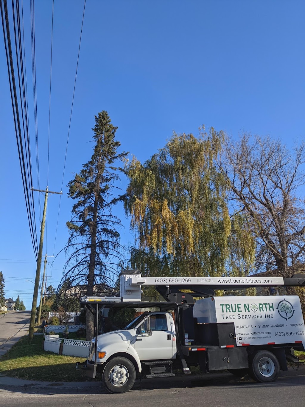 True North Tree Services Inc. | 212 Willow St, Cochrane, AB T4C 0Y8, Canada | Phone: (403) 690-1269