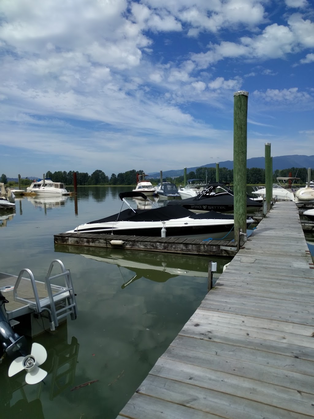 Pitt Meadows Marina | 14179 Reichenbach Rd #1, Pitt Meadows, BC V3Y 1Z1, Canada | Phone: (604) 465-7713