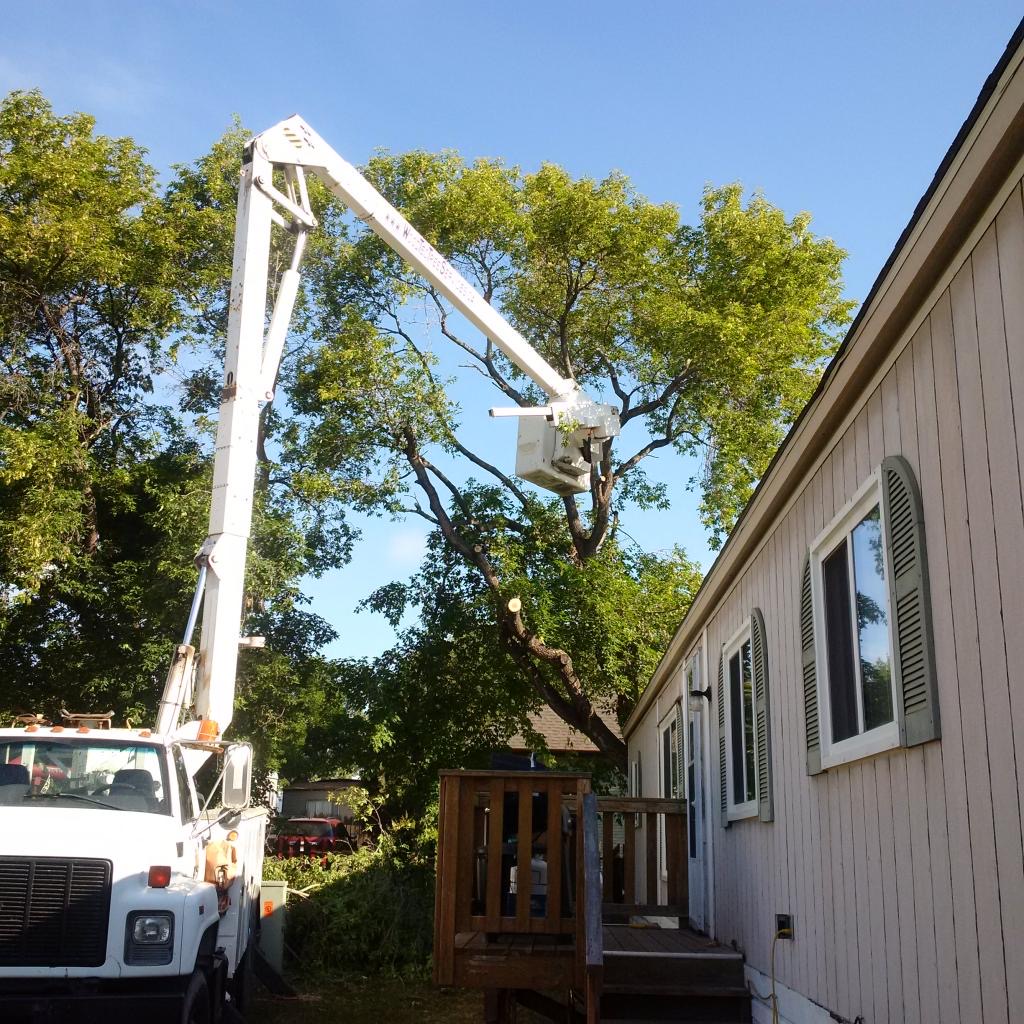 WoodTec Tree Services LTD. | 439 Griffin Rd E, Cochrane, AB T4C 2B8, Canada | Phone: (403) 932-7323