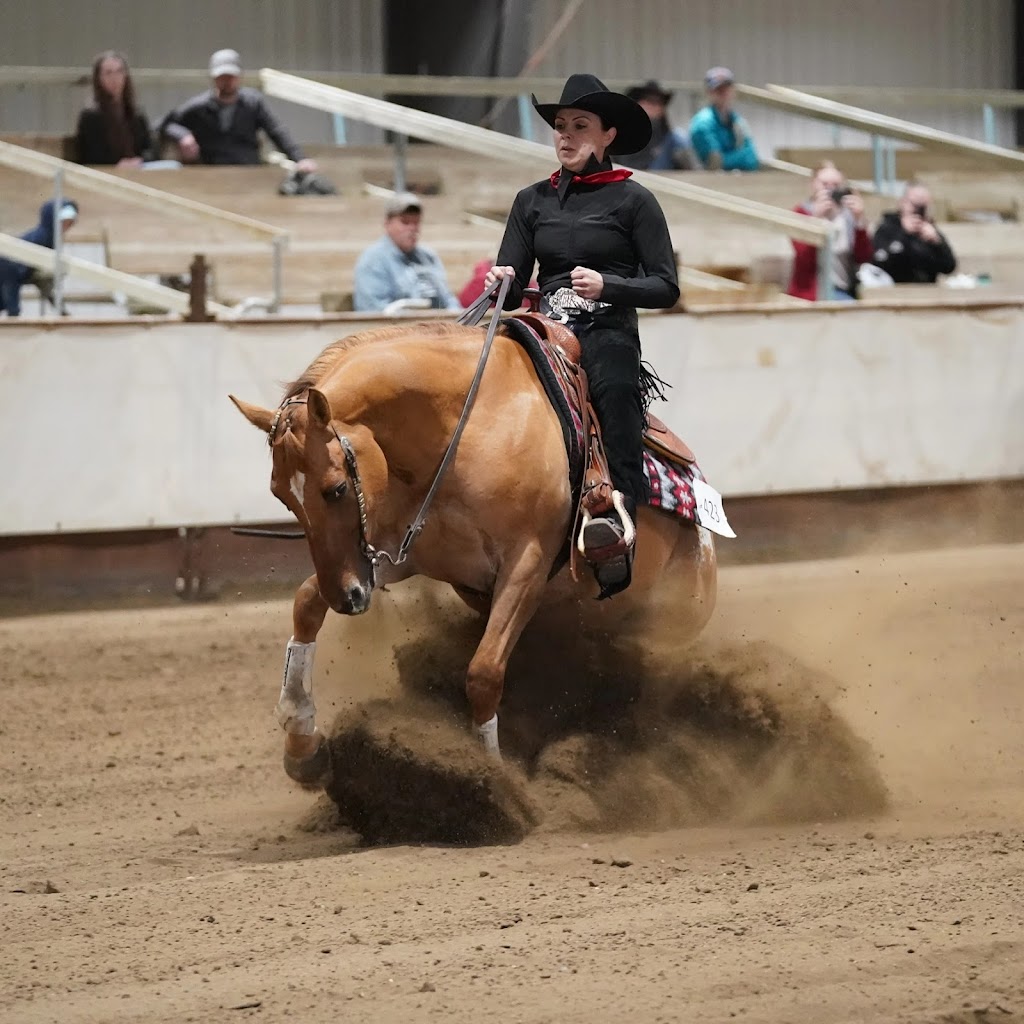 MH Horsemanship & Colt Starting | 390039 Range Rd 5-4, Alhambra, AB T0M 0C0, Canada | Phone: (403) 318-6107