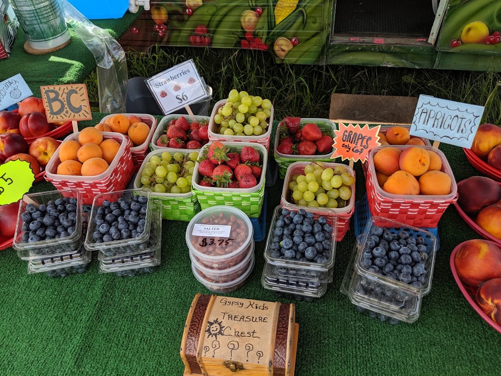 Gypsy Gardens Fruit Stand | 4282 91a St NW, Edmonton, AB T6E 5V2, Canada | Phone: (780) 905-7733