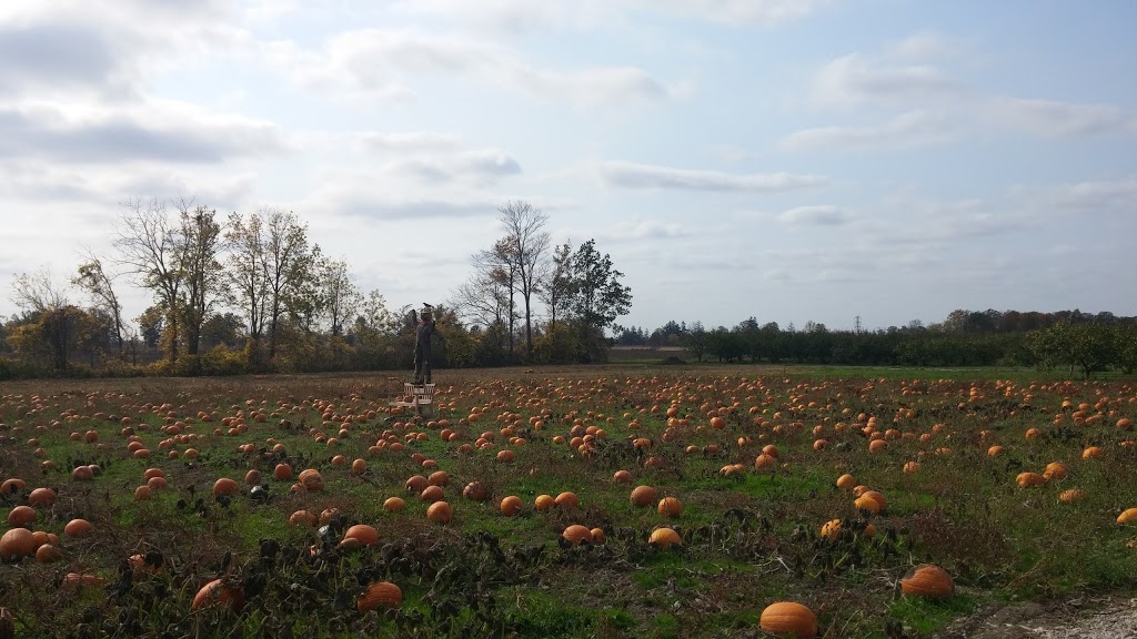 Fletcher Fruit Farms | 1040 Fletcher Rd, Hannon, ON L0R 1P0, Canada | Phone: (905) 692-3012