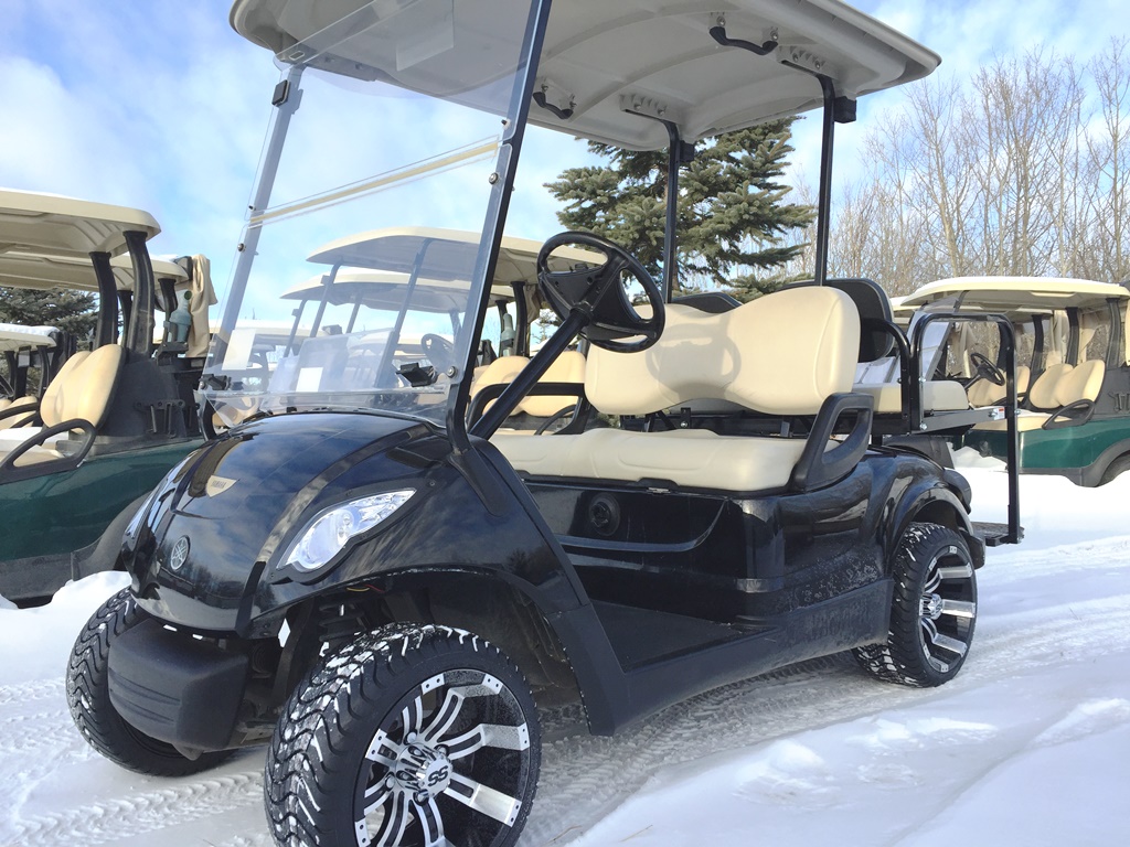 The Golf Cart Guy - Stock and Custom Golf Carts - Sherwood Park | 20575 Wye Rd #47, Sherwood Park, AB T8G 1H1, Canada | Phone: (780) 217-4260