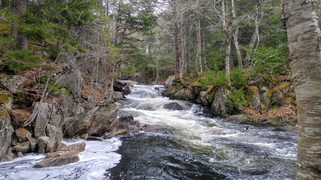 Pockwock Falls Trailhead | 1366 Pockwock Rd, Upper Hammonds Plains, NS B4B 1P2, Canada