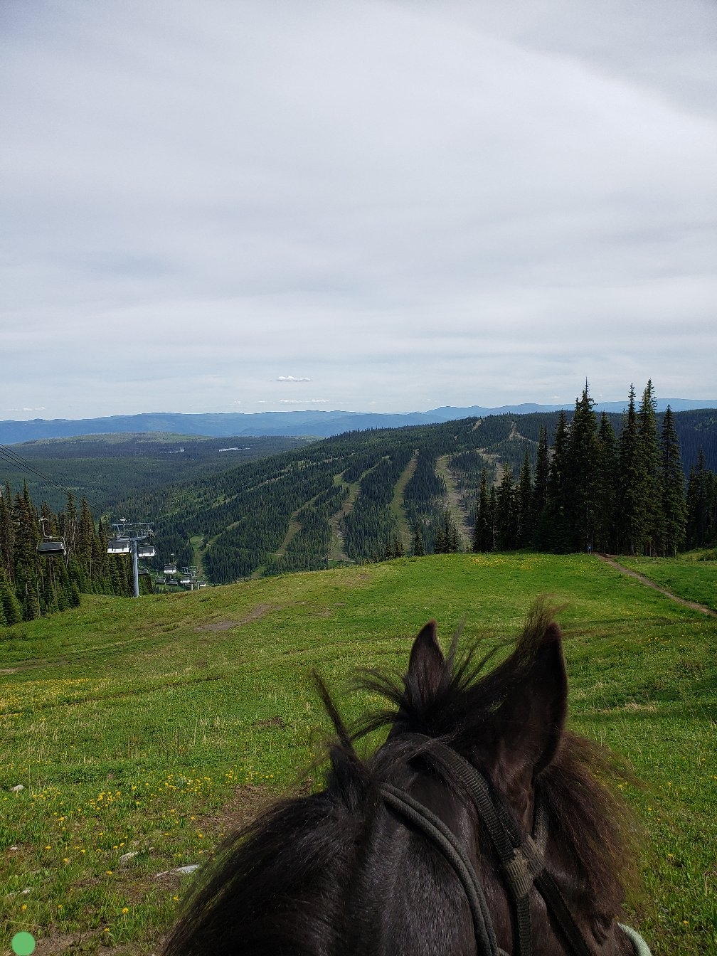 Sun Peaks Stables | Unnamed Road, Heffley Creek, BC V0E 1Z1, Canada | Phone: (250) 572-1325