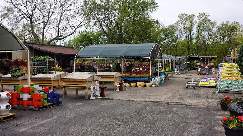 Down 2 Earth Garden Centre | 158 Park Lawn Rd, Etobicoke, ON M8Y 3H8, Canada | Phone: (416) 259-8291