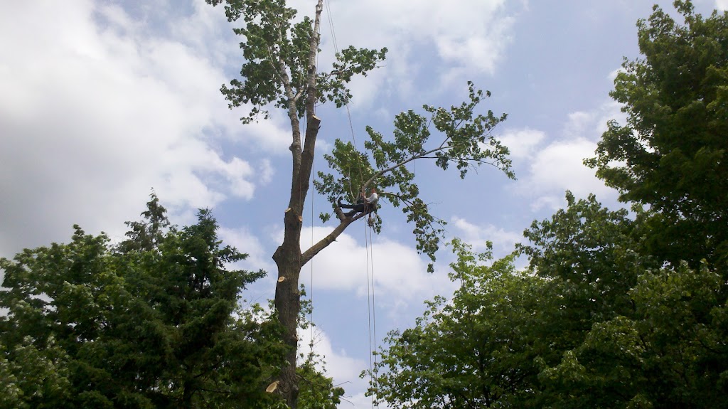 Arboriculture Esh Inc | 896 Rue Lamontagne, Saint-Jérôme, QC J5L 1V2, Canada | Phone: (450) 438-8002