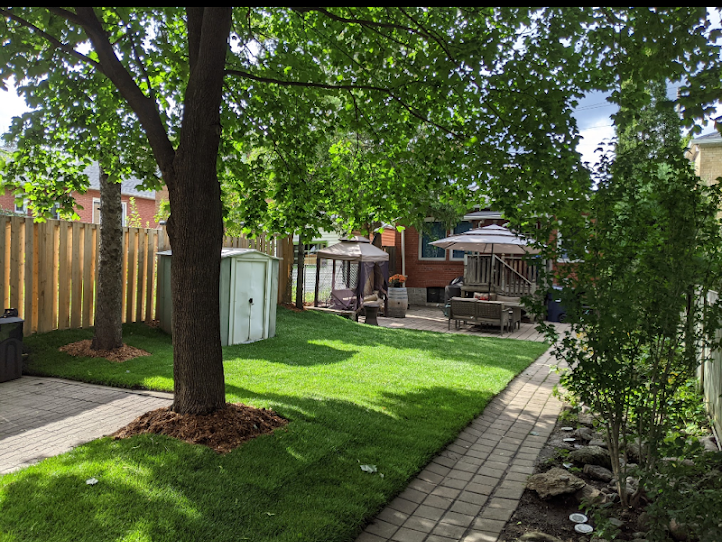 4evergreen landscaping services | 5 Harding Ave, North York, ON M6M 0A3, Canada | Phone: (416) 844-6524