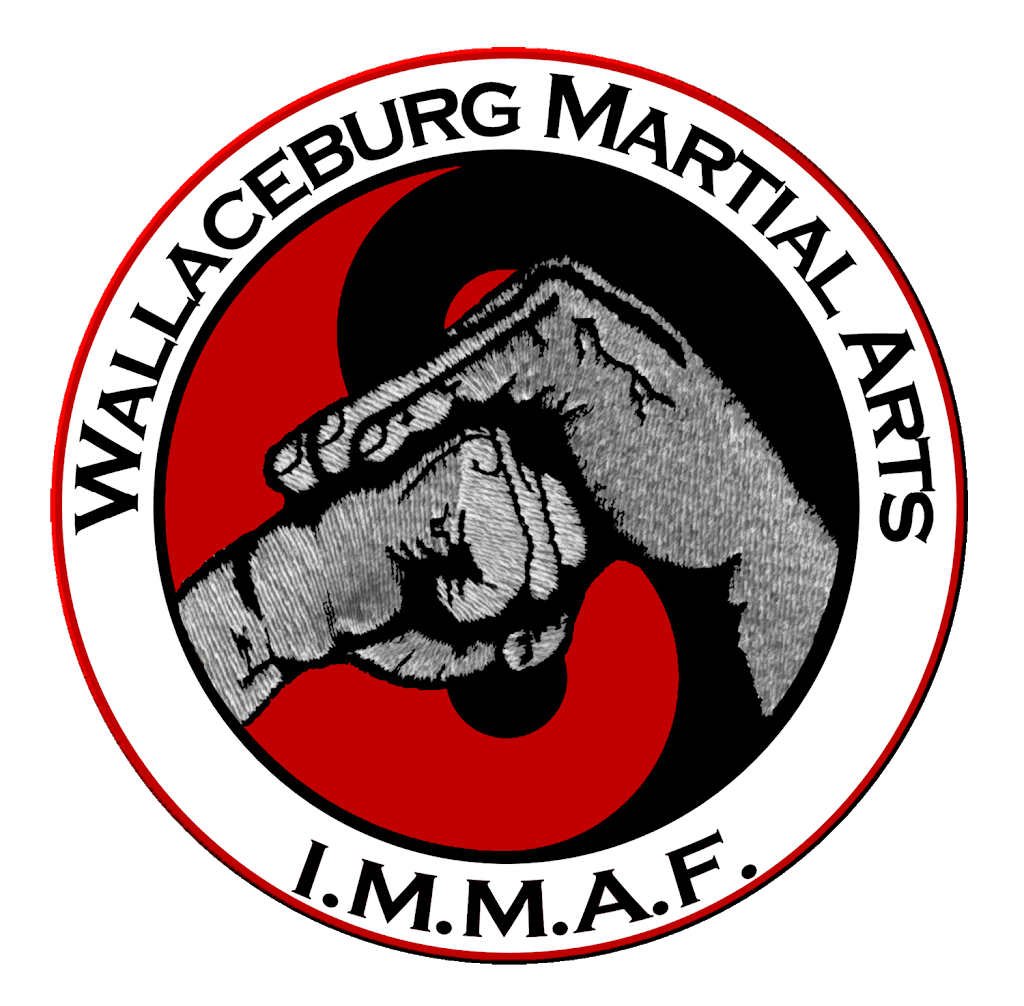 Wallaceburg Martial Arts | 505 King St, Wallaceburg, ON N8A 1J1, Canada | Phone: (519) 917-5133