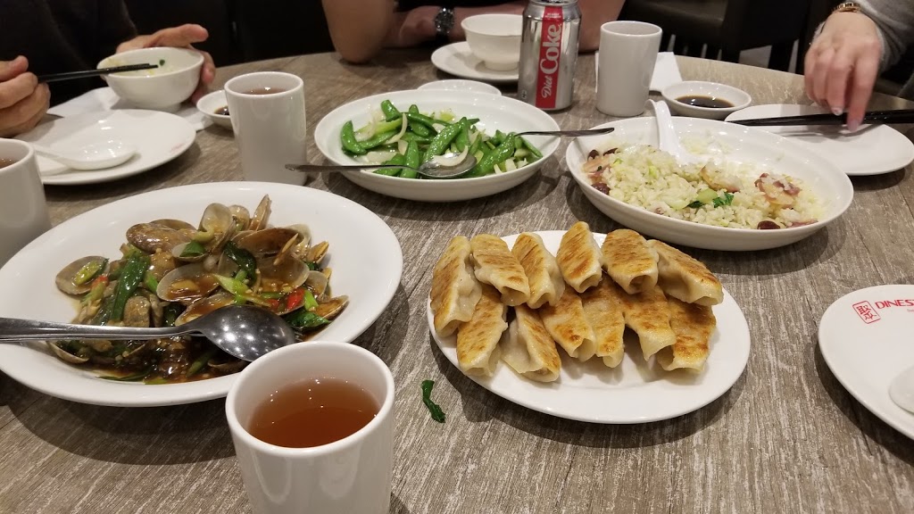 Dinesty Dumpling House | 104 Kingsway #104, Burnaby, BC V5H 2A7, Canada | Phone: (604) 439-0009