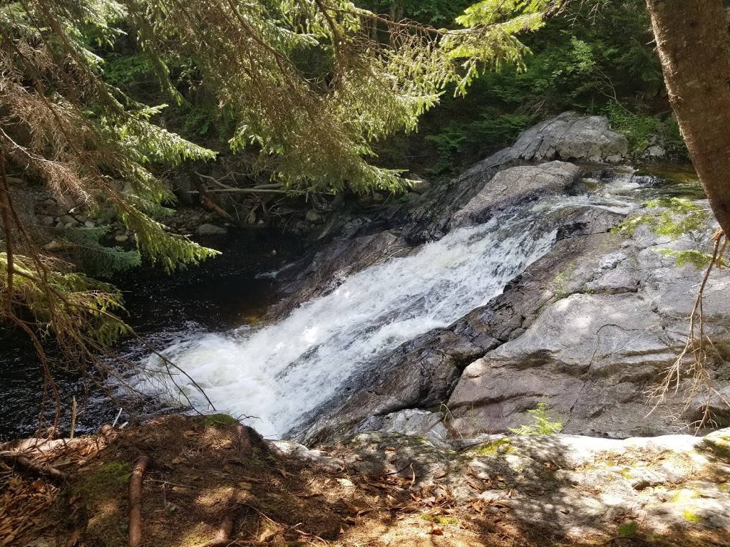 Long Beach Brook Falls Trailhead | Fundy Trail Pkwy, Saint Martins Parish, NB E5R, Canada | Phone: (866) 386-3987