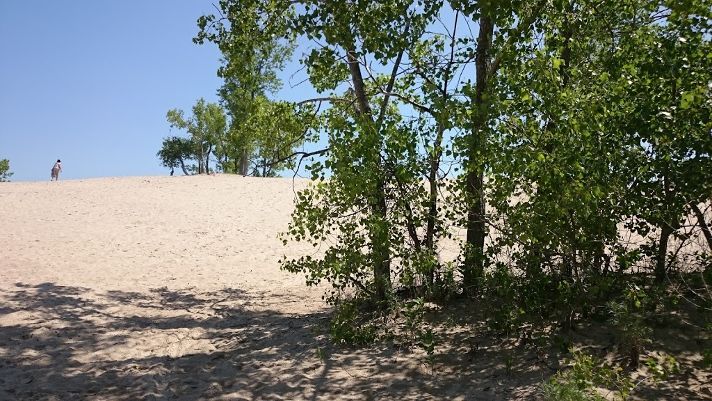 Sandbanks Provincial Park | 3004 County Road 12 Rural Route 1, Picton, ON K0K 2T0, Canada | Phone: (613) 393-3319