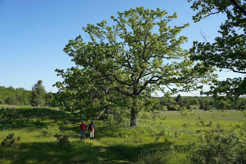 Hazel Bird Nature Reserve | 9636 Beavermeadow Rd E, Baltimore, ON K0K 1C0, Canada | Phone: (800) 465-0029