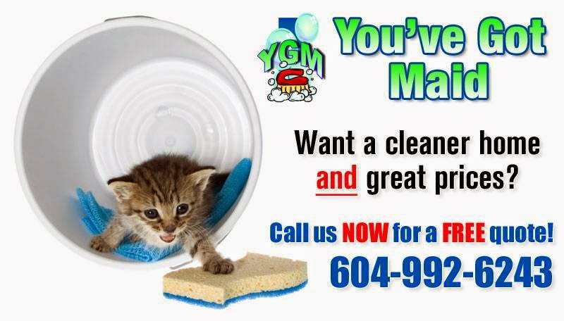 Youve Got Maid | 20147 Wanstead St, Maple Ridge, BC V2X 0T2, Canada | Phone: (604) 992-6243