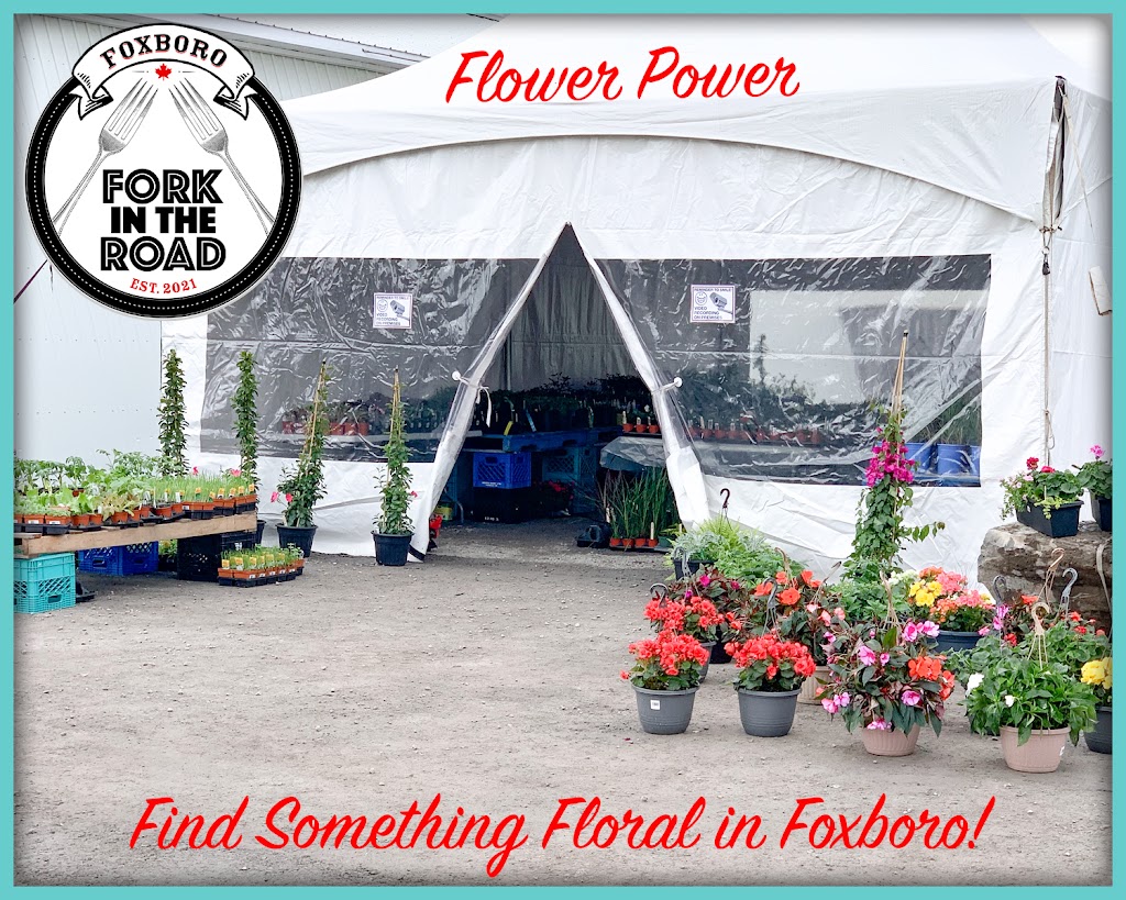 Foxboro Fork in the Road | 552 Ashley St, Foxboro, ON K0K 2B0, Canada | Phone: (613) 966-3675