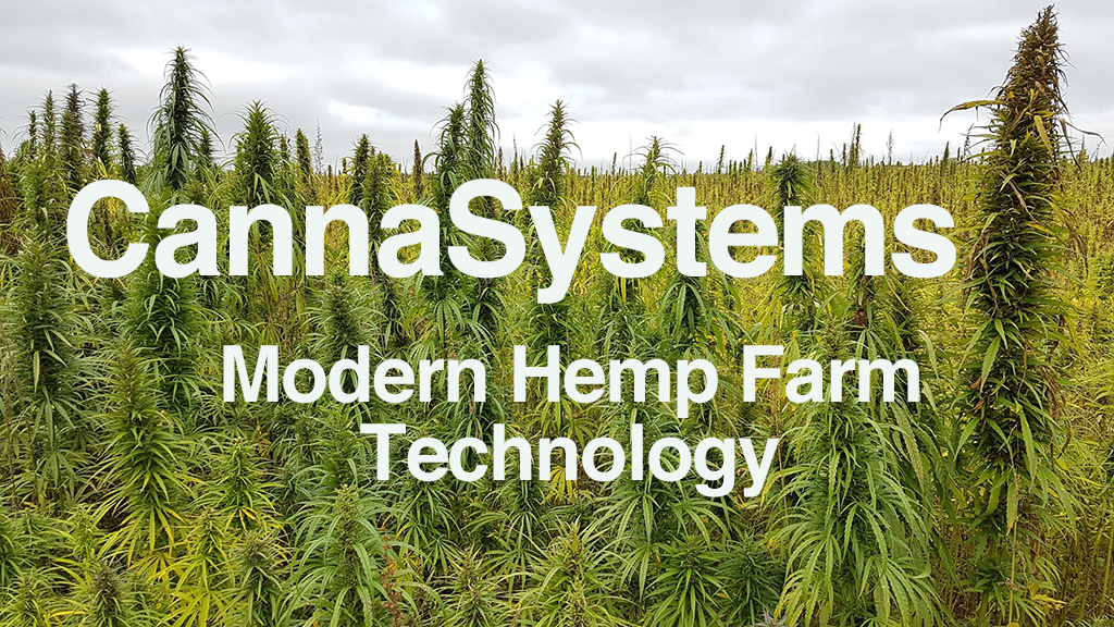 CannaSystems | 29 Lynnhaven Rd, North York, ON M6A 2K7, Canada | Phone: (416) 939-6143