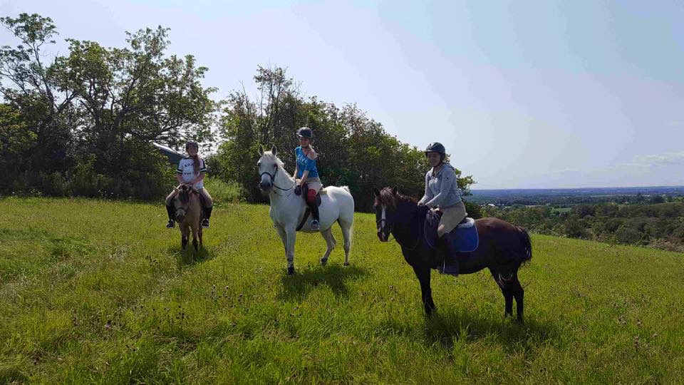 Homestead Hills Equestrian Centre | 5679 Jewel Rd, Kendal, ON L0A 1E0, Canada | Phone: (905) 983-9362