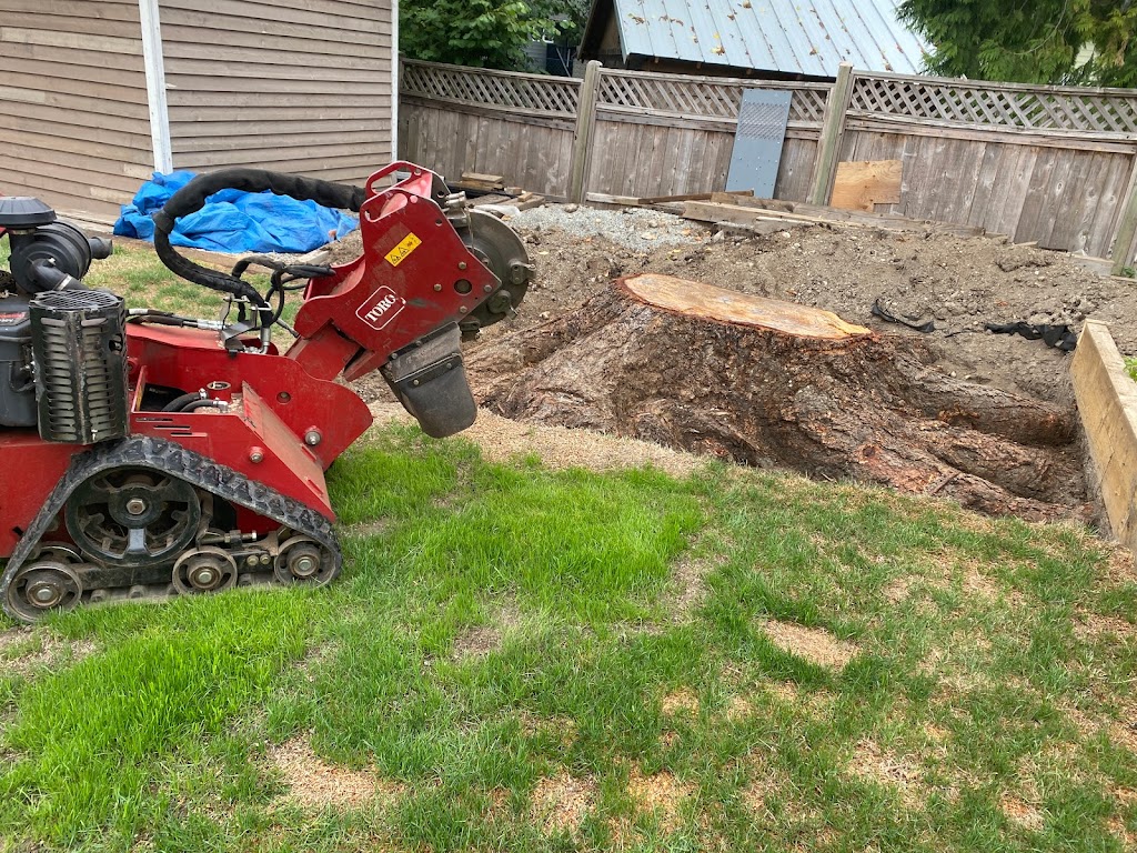 Stump Shredder - Stump Removal Service | 20109 36a Ave, Langley Twp, BC V3A 2R9, Canada | Phone: (604) 655-9514