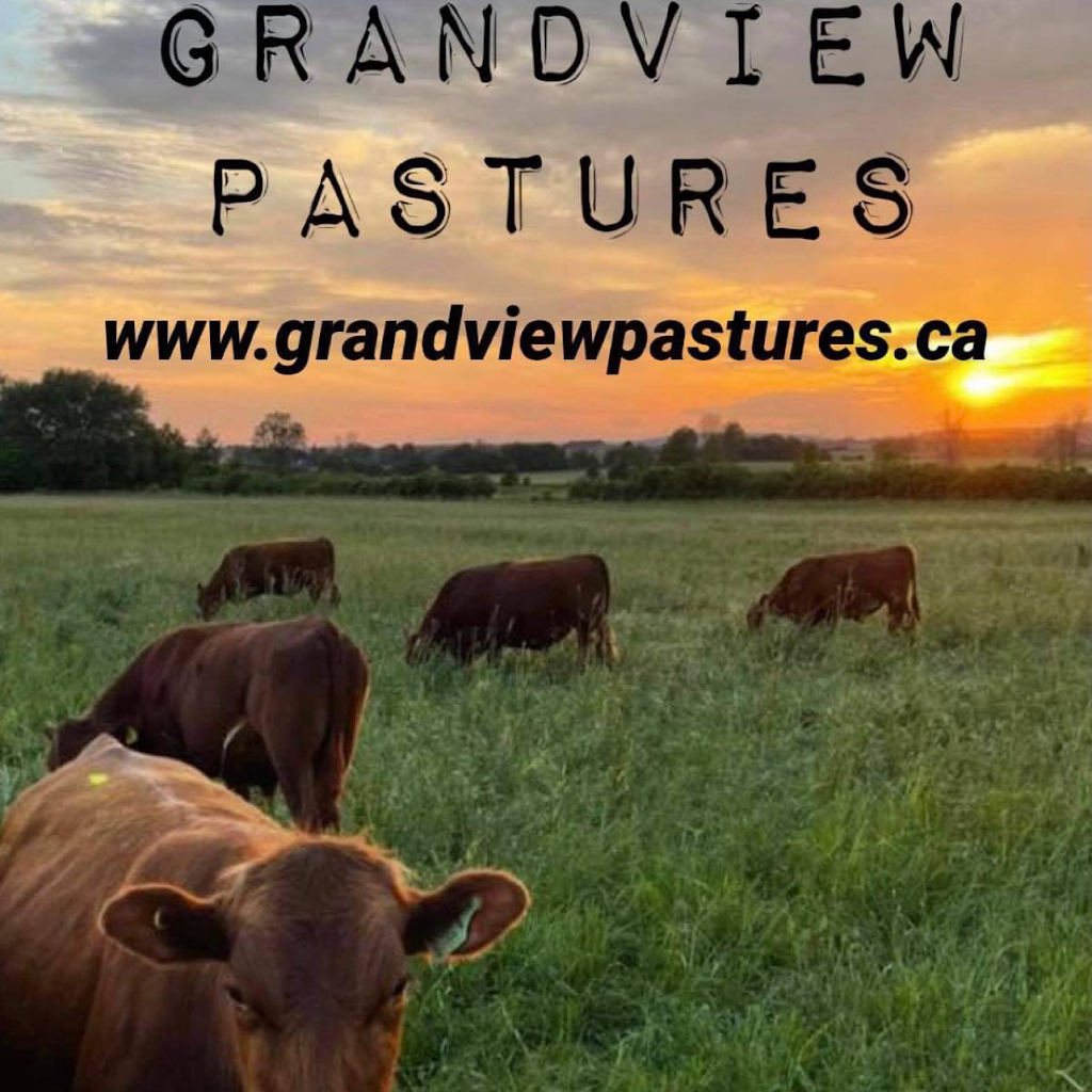 Grandview Pastures | 16991 Ontario County Hwy 2, Trenton, ON K8V 5P7, Canada | Phone: (647) 992-0642