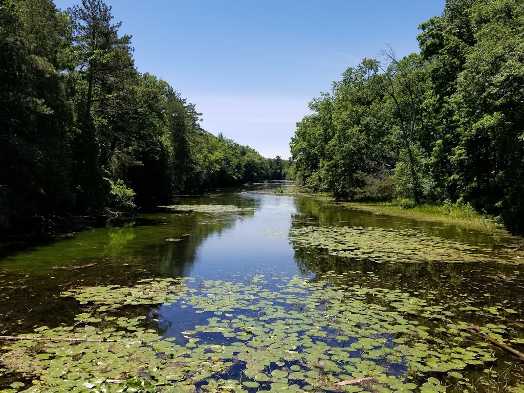 Pinery Provincial Park Visitors Centre | Lambton Shores, ON N0M 2L0, Canada | Phone: (519) 243-2220