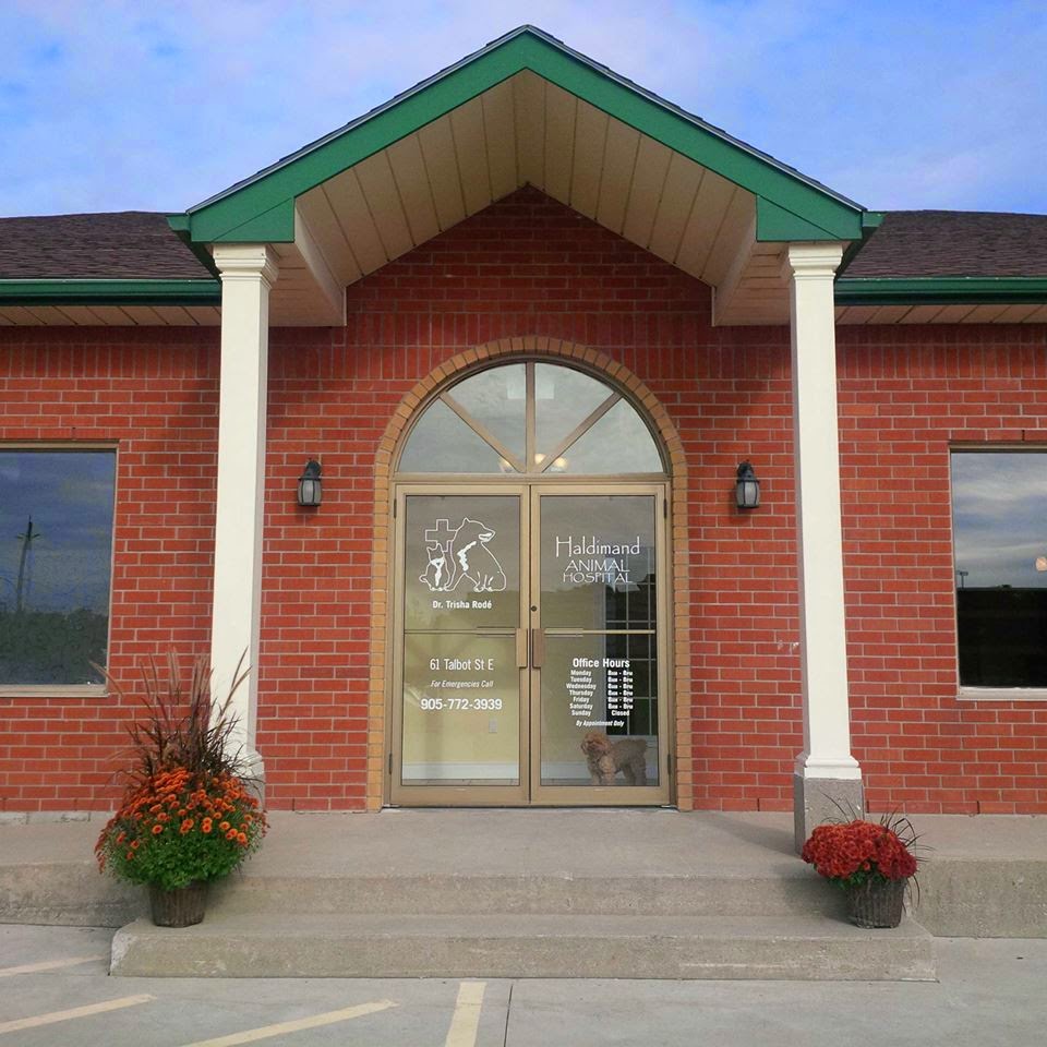 Haldimand Animal Hospital | 61 Talbot St E, Cayuga, ON N0A 1E0, Canada | Phone: (905) 772-3939