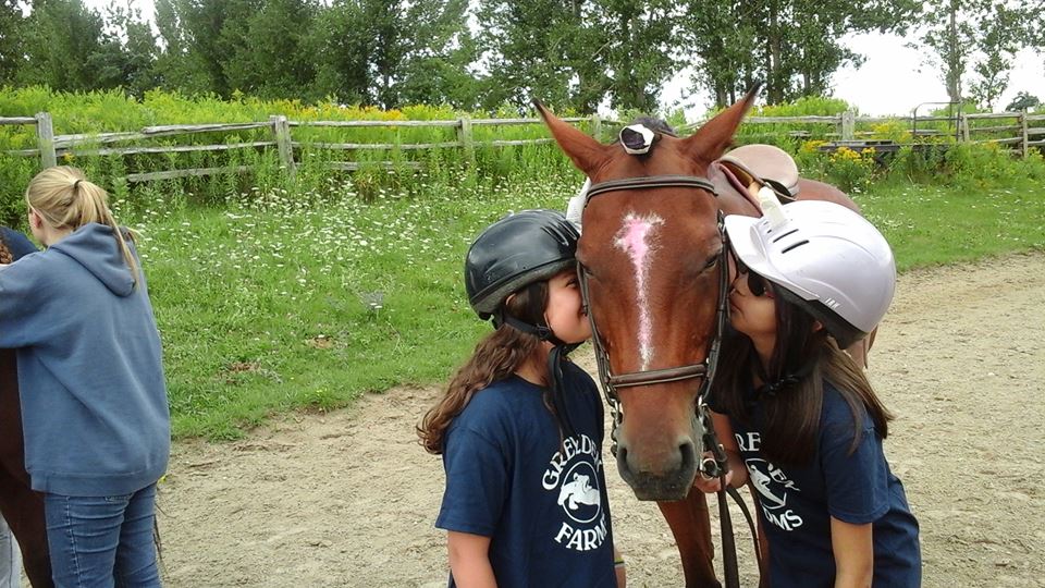 Greyden Equestrian Facility | 5565 Wellington Road 24, Trafalgar Road North, Erin, ON N0B 1T0, Canada | Phone: (519) 833-2623