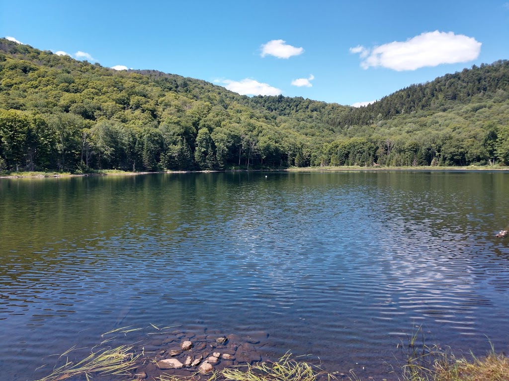 Devils Gulch | Long Trail, Eden, VT 05652, USA