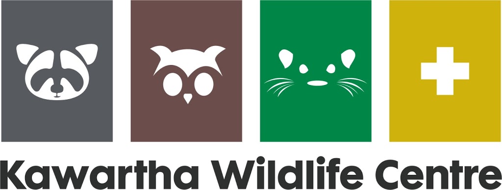 Kawartha Wildlife Centre | 470 Robinson Rd, Ennismore, ON K0L 1T0, Canada | Phone: (705) 292-9211